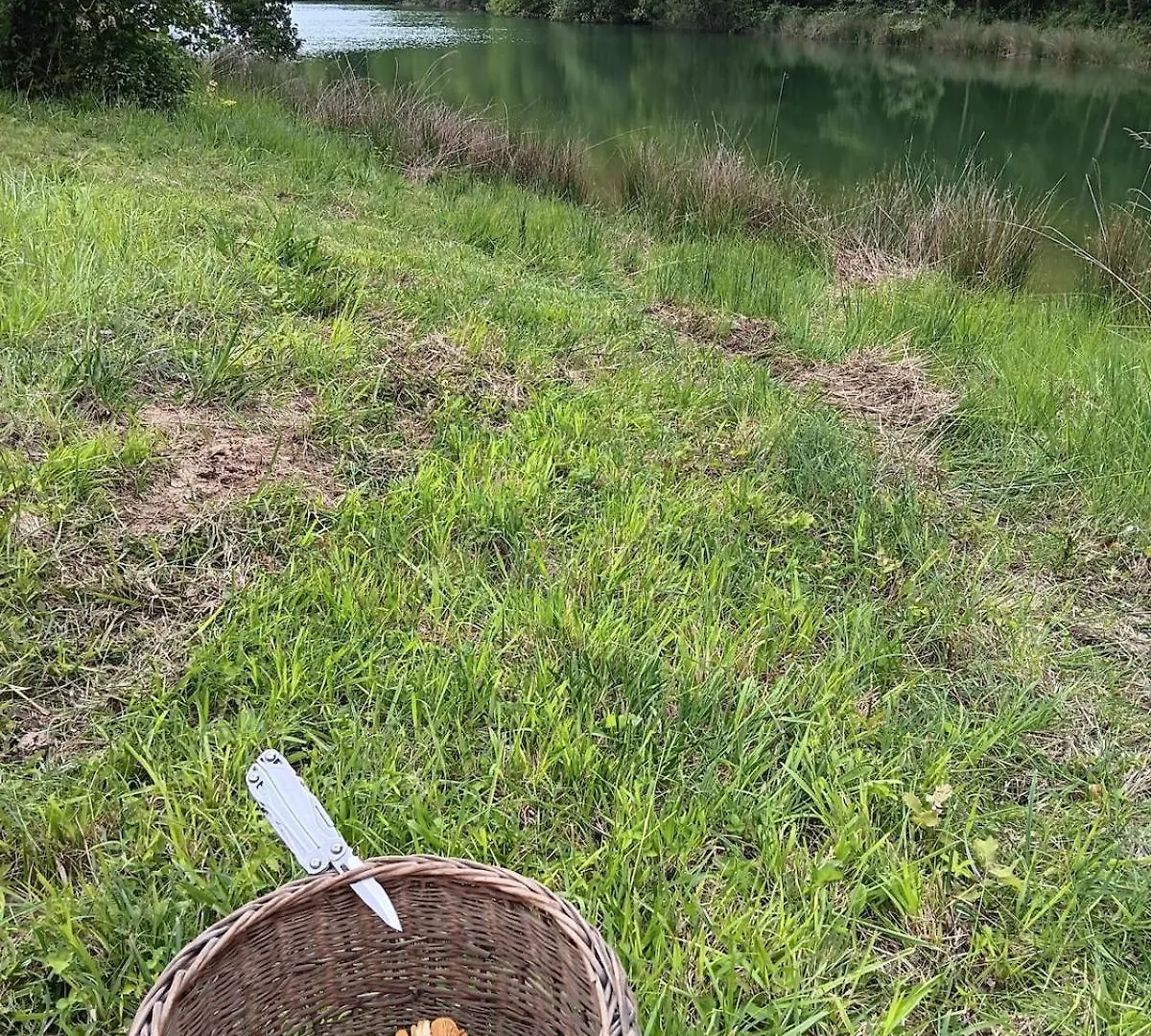 La Maison Du Lac Estipouy France